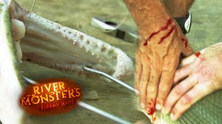 Alligator Gar Bites Jeremy Wade  ALLIGATOR GAR  River Monsters [upl. by Neri16]