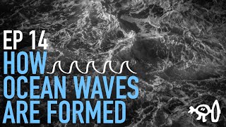 Surfing Explained Ep14 How an Ocean Wave Forms [upl. by Moishe622]