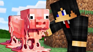 Minecraft but Everything I Touch MELTS [upl. by Najar712]