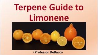 Terpene Guide to Limonene [upl. by Suoicserp]