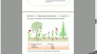 DCL FLE présentation des documents [upl. by Brozak258]