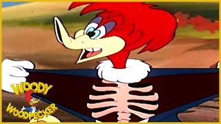 Woody Woodpecker  Fair Weather Fiends Remastered Woody Woodpecker Full Episode  Old Cartoons [upl. by Birgitta]