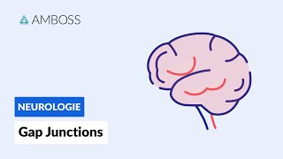 Funktionsweise von Gap Junctions  Biochemie  AMBOSS Video [upl. by Rukna53]