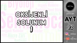 13 Oksijenli Solunum 1 [upl. by Aivun]