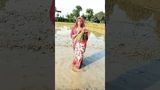 ropani songs shorts viral samarsingh [upl. by Nylodam]