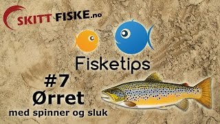 Fisketips 7 med Skitt Fiske  Ørretfiske med sluk og spinner [upl. by Kawai]