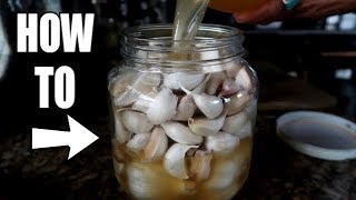 HOW TO PRESERVE GARLIC FOR YEARS ULTIMATE PREPPER TRICK [upl. by Adnav]