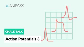 Action Potentials  Part 3 Skeletal Muscle Action Potential [upl. by Refinaj469]