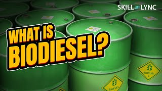 What is BIODIESEL  SkillLync [upl. by Dlared]