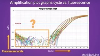 Baselines in RealTime PCR  Ask TaqMan® Ep 5 [upl. by Bettine]