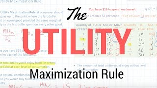 The Utility Maximization Rule [upl. by Vaules34]