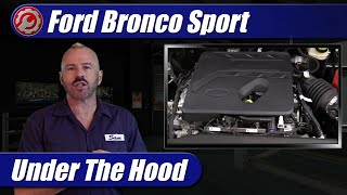 20212022 Ford Bronco Sport 15T Engine Explained [upl. by Louls102]