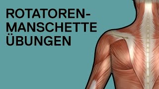 ROTATORENMANSCHETTE ÜBUNGEN ohne Geräte auch gegen Schulterschmerzen [upl. by Holton]