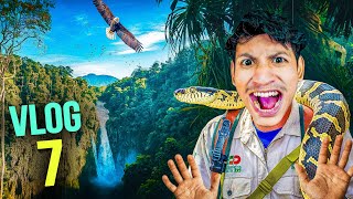 JUNGLE VLOG  Rahul Singha Vlogs [upl. by Ahsenhoj]