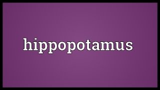 Hippopotamus Meaning [upl. by Gorden709]