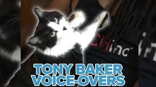 Feed the Cat Official Tony Baker Voice Over Compilation [upl. by Ceevah]