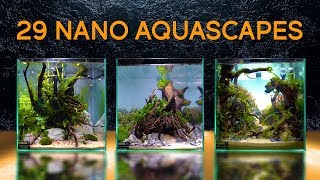 TwentyNine Of the Best Nano Aquascapes In America [upl. by Nwahsad138]