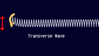 Longitudinal and Transverse Waves [upl. by Una]