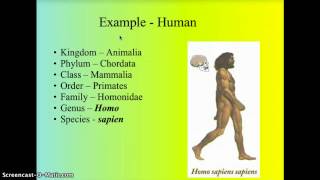 Taxonomy  Classification [upl. by Layod556]