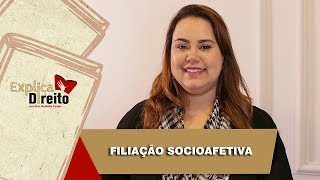 Explica Direito Filiação Socioafetiva  2019 [upl. by Shepperd383]