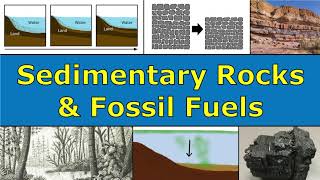 Sedimentary Rocks amp Fossil Fuels Overview [upl. by Atinad531]