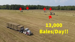 Family Farm with MASSIVE Hay Production 13000 balesday [upl. by Kobi]