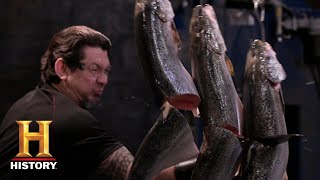 Forged in Fire KILLER Falcata Blade CHOPS the Final Round Extra Sharp Cuts Season 3  History [upl. by Xavier506]