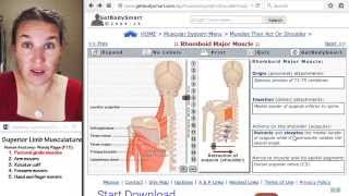 Superior limb 1 Pectoral girdle [upl. by Niaz]