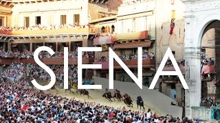 PALIO DI SIENA victoria de L’Oca desde dentro  Viaje a Italia 2024 [upl. by Loris]