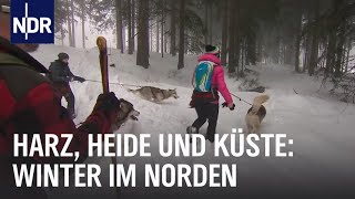 Erlebnis Winterzauber  die nordstory  NDR Doku [upl. by Zachar]