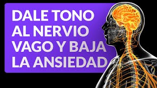 Ejercicios para darle tono al nervio vago y bajar la ansiedad [upl. by Andromeda]