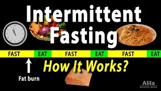 Intermittent Fasting  How it Works Animation [upl. by Eirhtug]