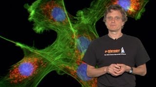 Microscopy Introduction to Fluorescence Microscopy Nico Stuurman [upl. by Estell]