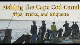 Fishing the Cape Cod Canal  Tricks Tips and Etiquette [upl. by Christmann]