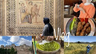 31 Gaziantep Vlog🌱 Zeugma Müzesi Mezuniyet Çilek Topladık🍓 [upl. by Nageet]