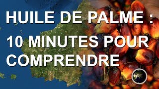 HUILE DE PALME  10 MINUTES POUR COMPRENDRE [upl. by Malcah]