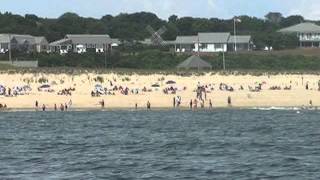 Tour of Shark Alley off Chatham Cape Cod [upl. by Nate83]