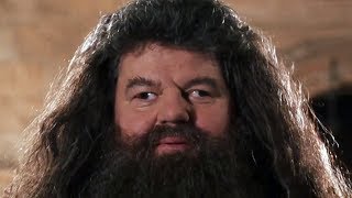 MAD HAGRID [upl. by Barb]