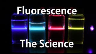 How Fluorescence Works  The Science [upl. by Nwahsit]