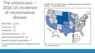 90 second animation – Meningococcal ACWY vaccine [upl. by Misty]