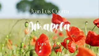 Juan Luis Guerra 440  Amapola Lyric Video [upl. by Desdamona863]