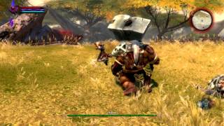 Kingdoms of Amalur Reckoning PC Gameplay HD Max Settings [upl. by Portingale23]