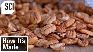 How Pecans Are Manufactured  How It’s Made [upl. by Norris332]