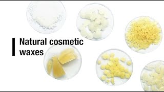 Natural cosmetic waxes [upl. by Zohar338]