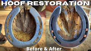 Farrier ASMR  Very Satisfying Hoof Restoration [upl. by Zsolway511]