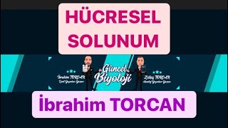 Hücresel solunumgüncelbiyoloji2023YKS 2023YKS2023tayfa [upl. by Hamid]