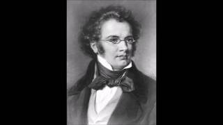 Schubert  Symphony No 8 Unfinished I Allegro moderato HQ [upl. by Eisserc345]