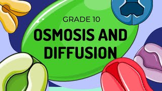 Diffusion and Osmosis [upl. by Ellasal90]