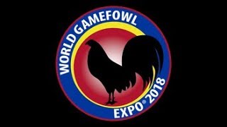 World Gamefowl 2018 [upl. by Everson]