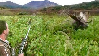 GIANT Alaskan Moose RUNS OVER hunter The Journey Part 2 [upl. by Nabi]